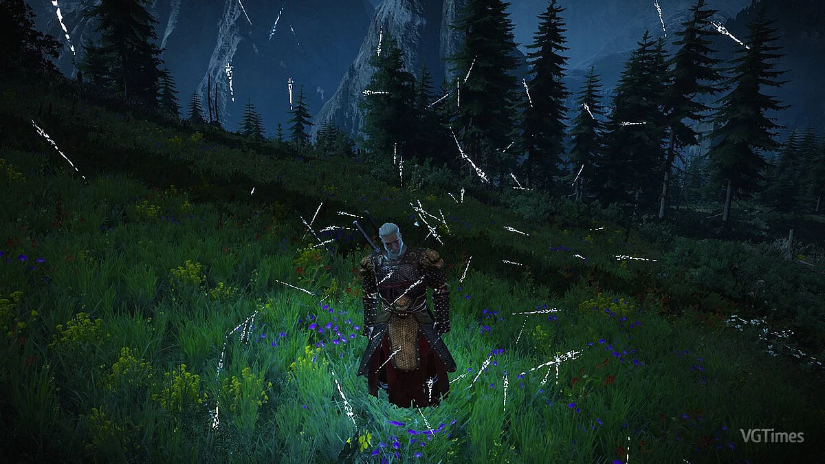 The Witcher 3: Wild Hunt - Complete Edition — Щит из мечей (NextGen)
