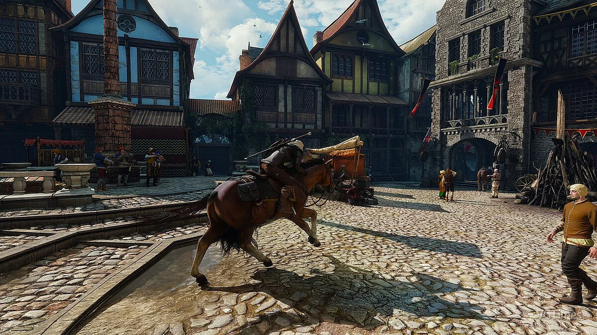 The Witcher 3: Wild Hunt - Complete Edition — Послушный конь