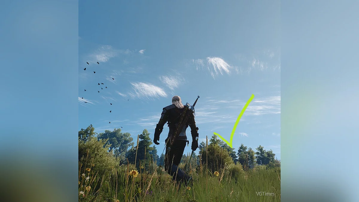 The Witcher 3: Wild Hunt - Complete Edition — Поворот головы за камерой