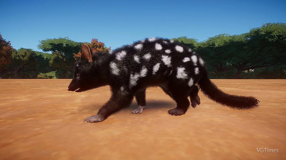 Planet Zoo — Восточный кволл — новые виды