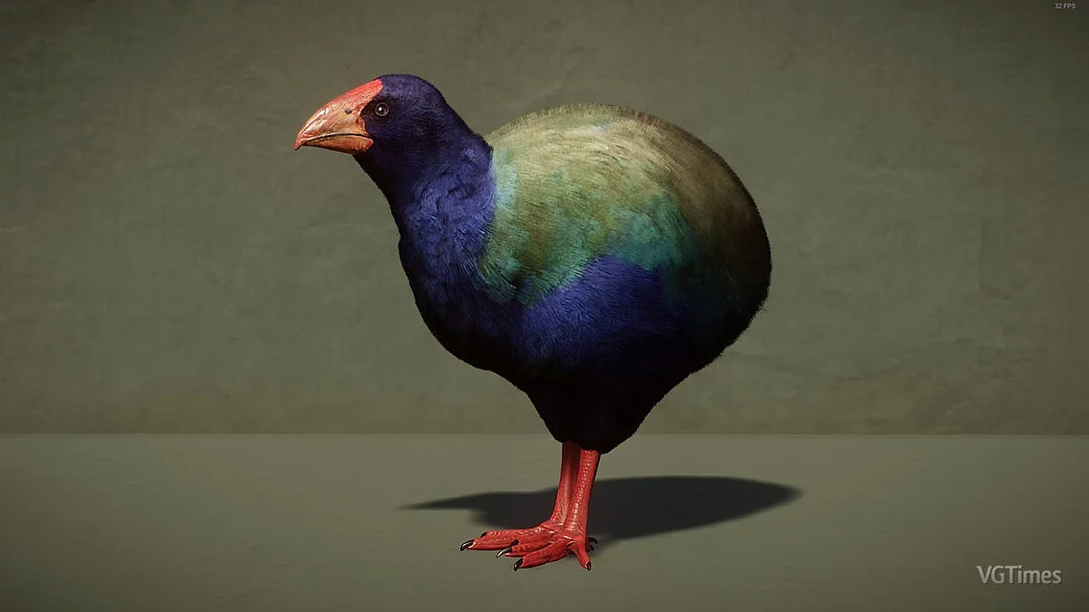 Planet Zoo — Такахе Южного острова - новый вид