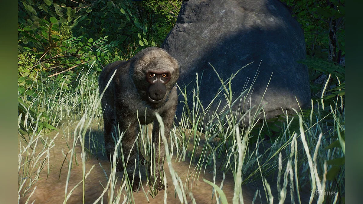 Planet Zoo — Корнехвостая макака