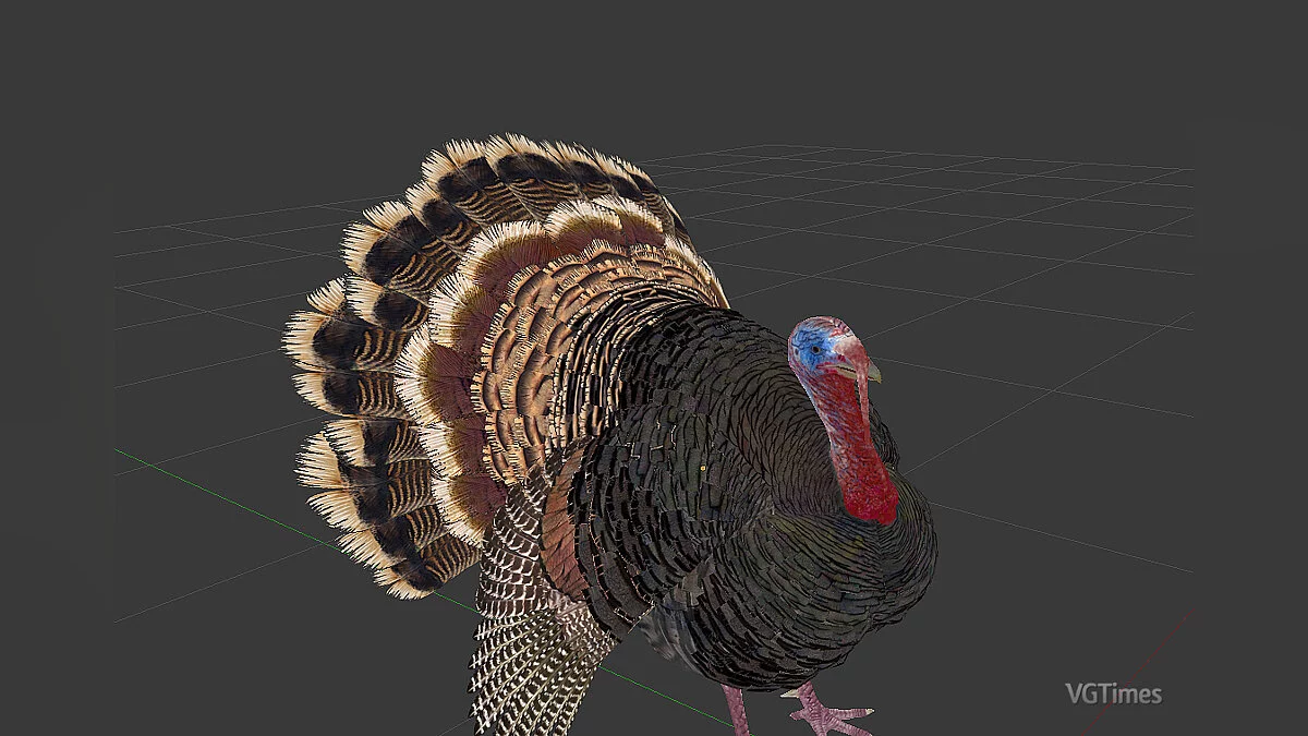 The Witcher 3: Wild Hunt - Complete Edition — Новые реалистичные животные