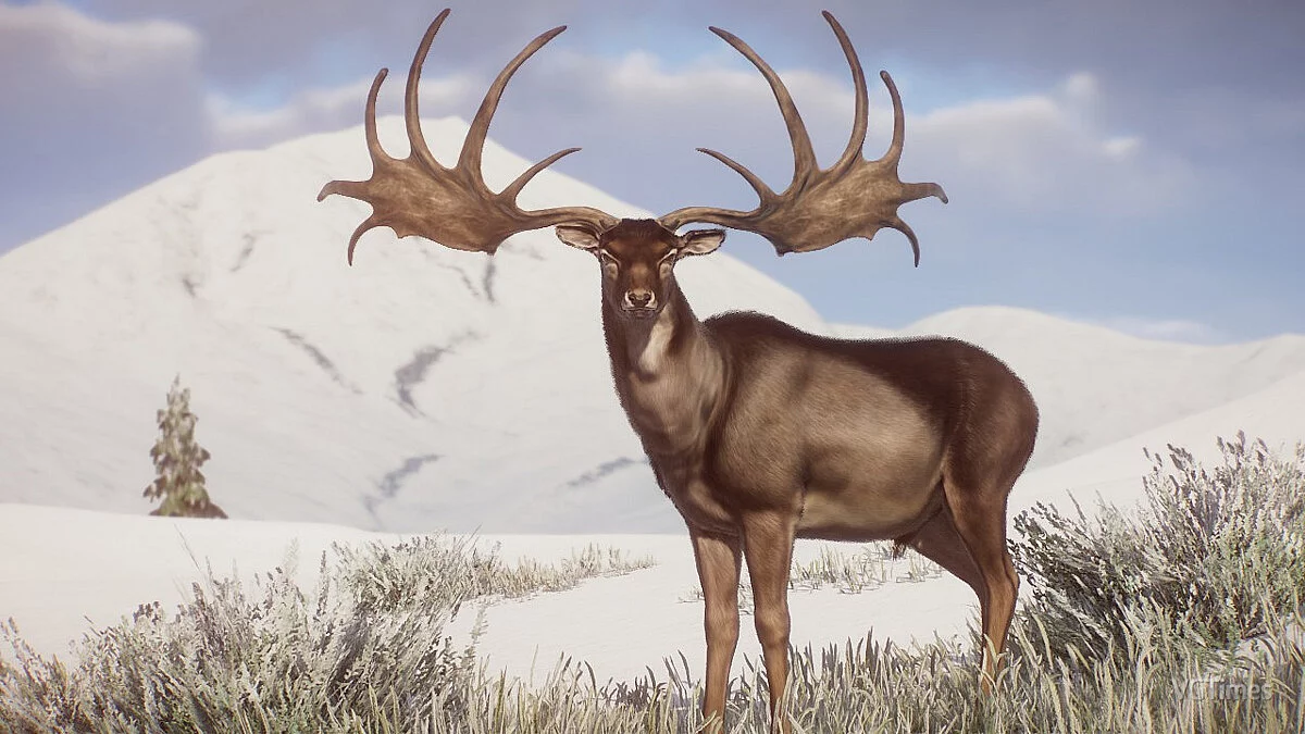 Planet Zoo — Гигантский олень (мегалоцерос) - новый вид