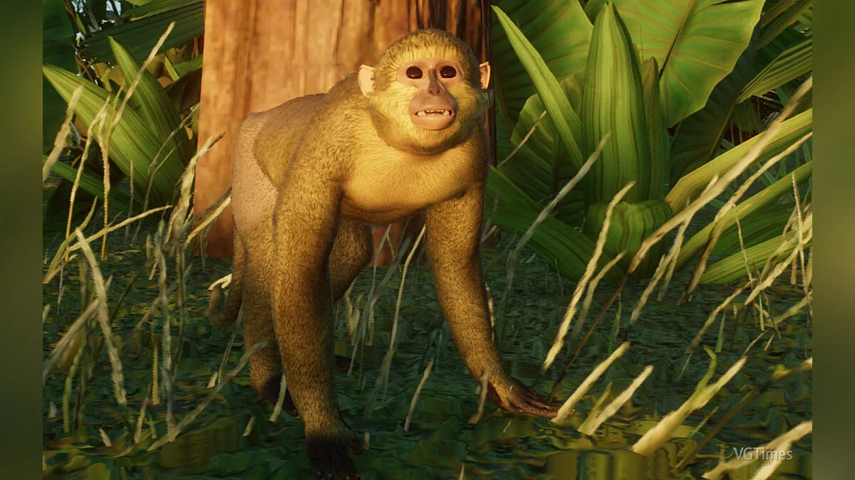 Planet Zoo — Габонский талапоин - новый вид