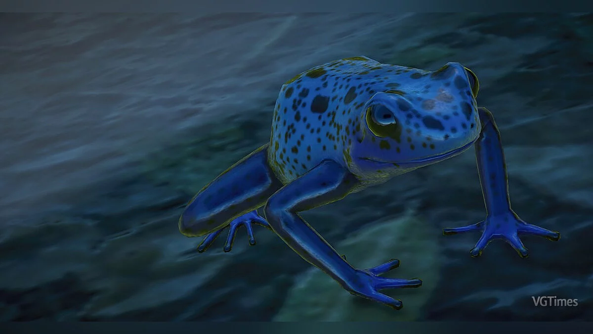 Planet Zoo — Набор лягушек-дротиков