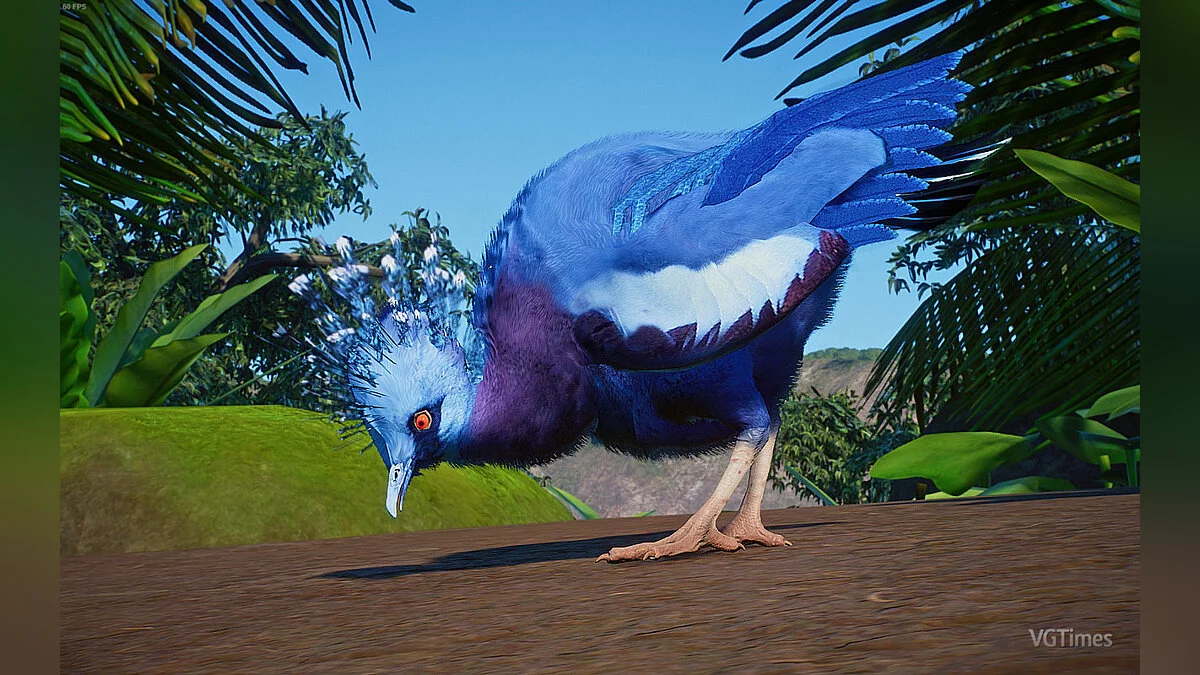 Planet Zoo — Коронованный голубь Виктории - новый вид