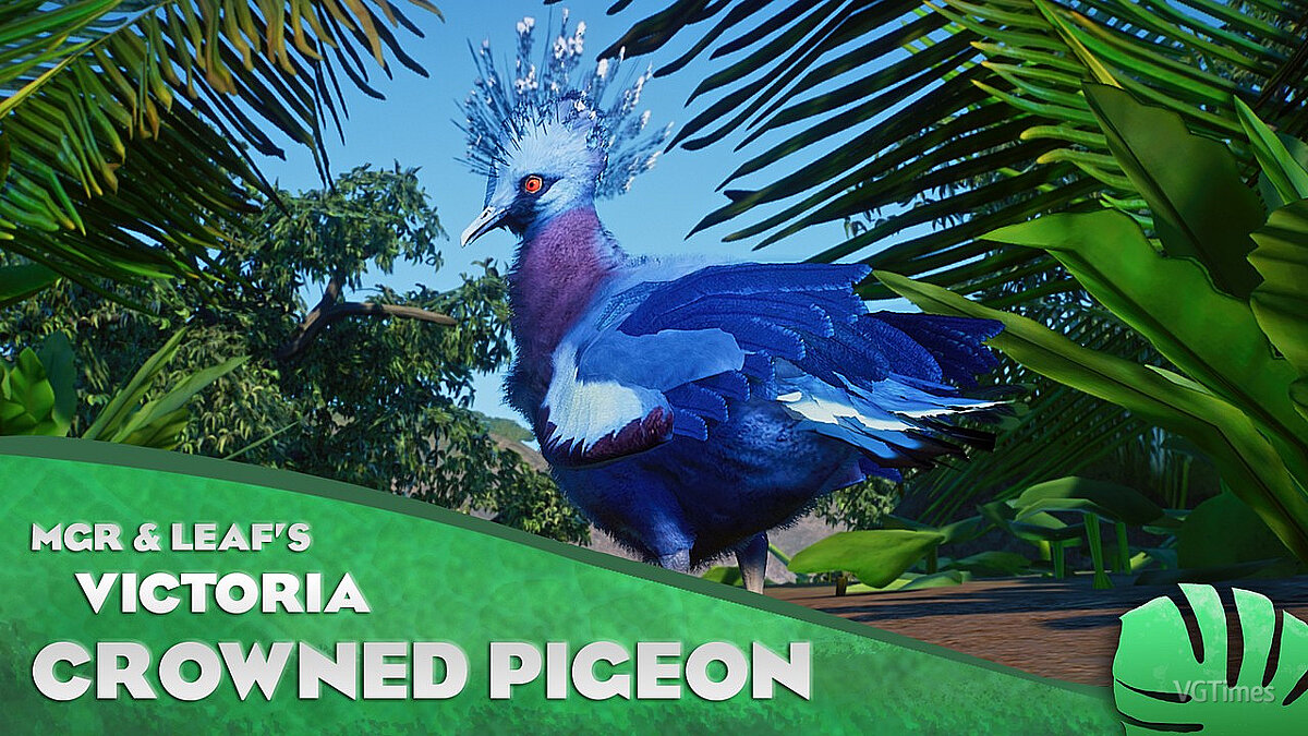 Planet Zoo — Коронованный голубь Виктории - новый вид