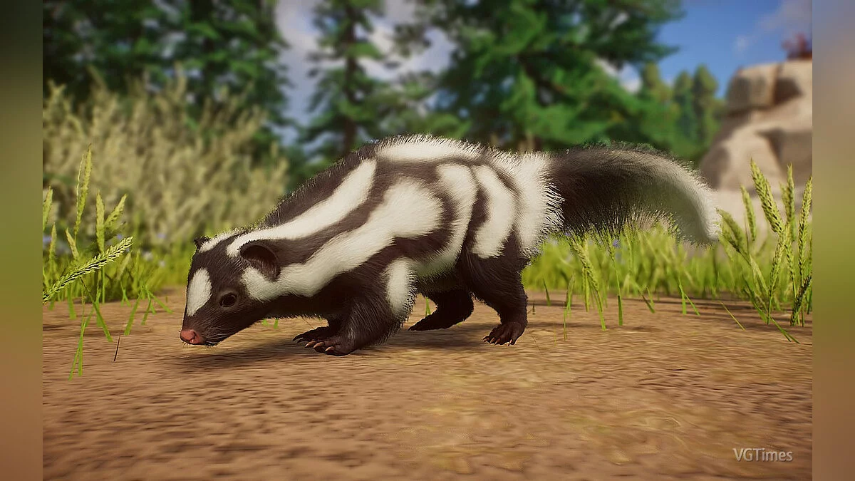 Planet Zoo — Восточный пятнистый скунс - новый вид