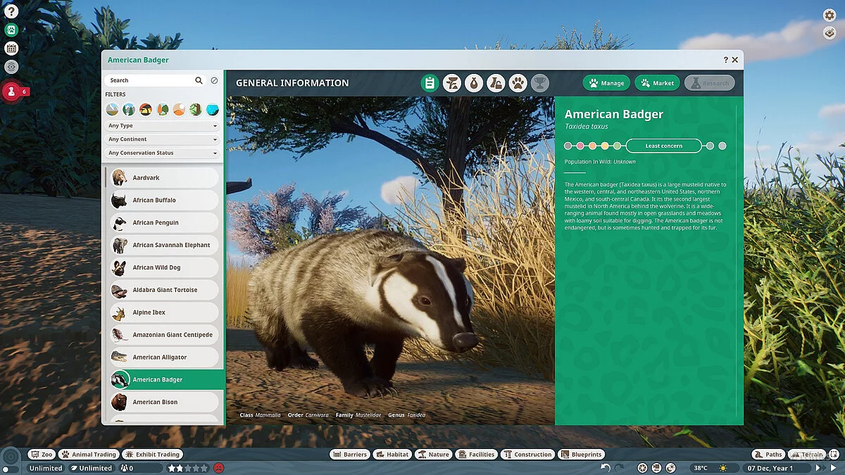 Planet Zoo — Американский барсук