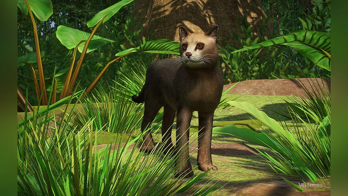 Planet Zoo — Джунглевая кошка - новый вид