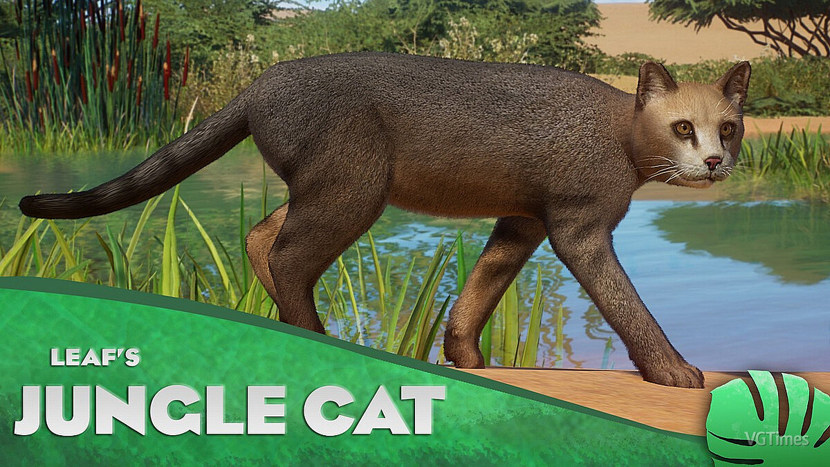 Planet Zoo — Джунглевая кошка - новый вид