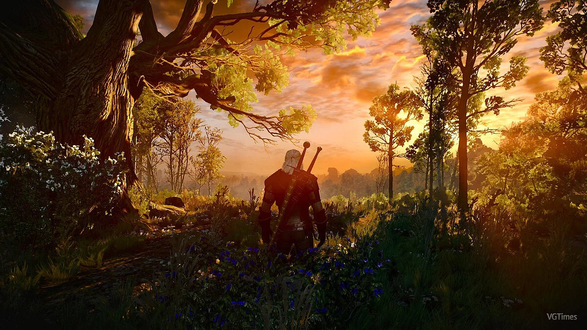 The Witcher 3: Wild Hunt - Complete Edition — Улучшенное освещение белого сада