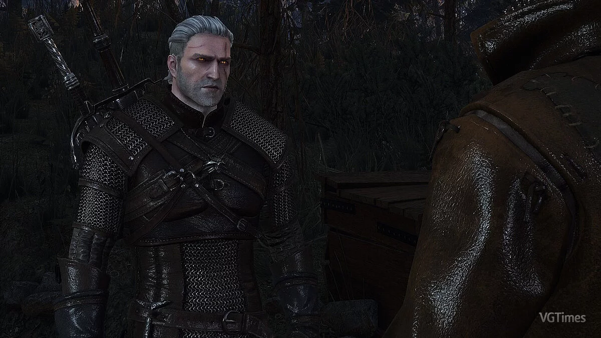 The Witcher 3: Wild Hunt - Complete Edition — Геральт 2013 года