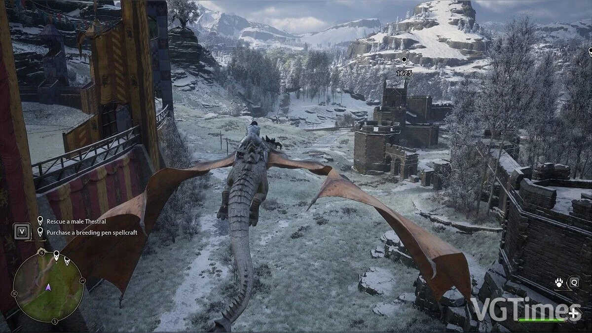 Hogwarts Legacy — Драконы вместо гиппогрифов