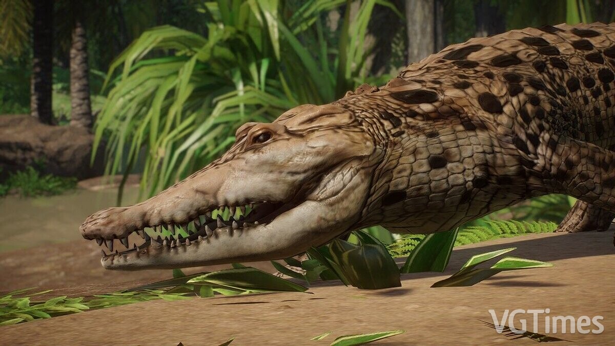 Planet Zoo — Крокодил Ориноко - новый вид