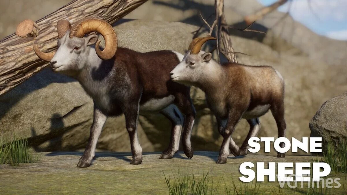 Planet Zoo — Ремастер овец породы далл