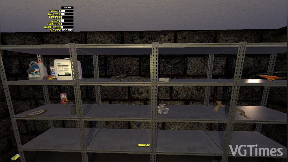 My Summer Car — Синяя Сатсума, много марок, сюжет не пройден