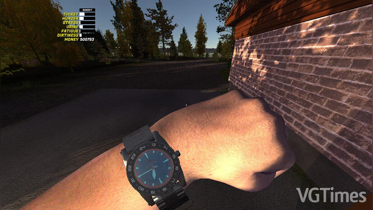 My Summer Car — Синяя Сатсума, много марок, сюжет не пройден