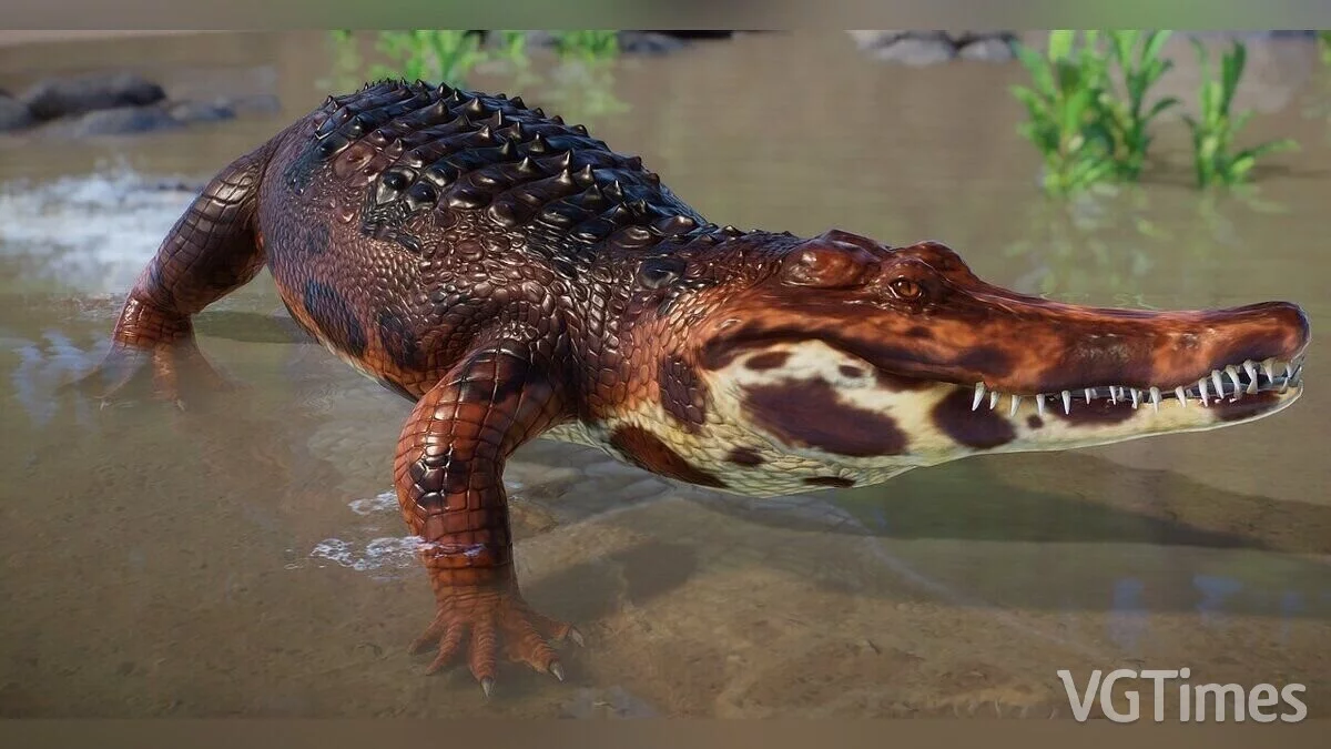 Planet Zoo — Томистома - новый вид