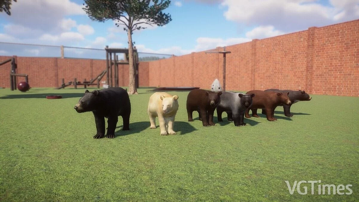 Planet Zoo — Американский черный медведь - новый вид