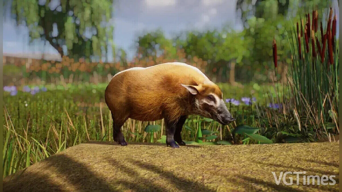 Planet Zoo — Боров Красной реки — новые виды