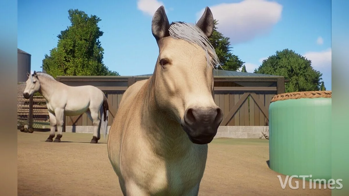 Planet Zoo — Домашняя лошадь - новый вид