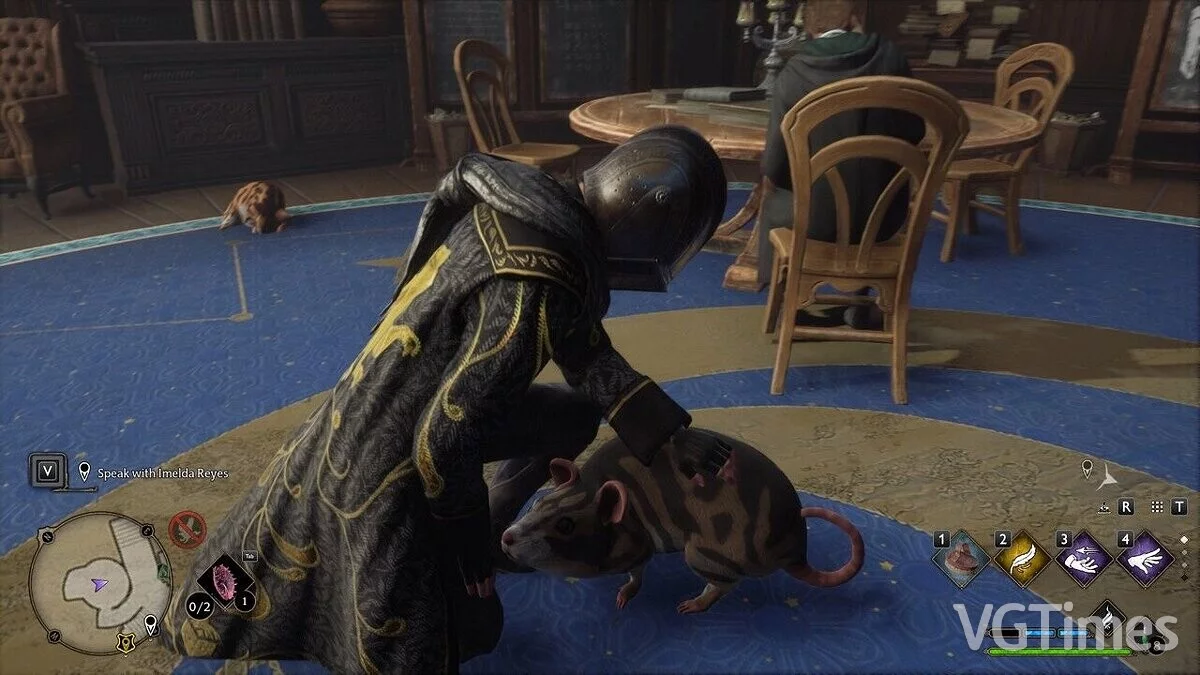 Hogwarts Legacy — Крысы вместо кошек