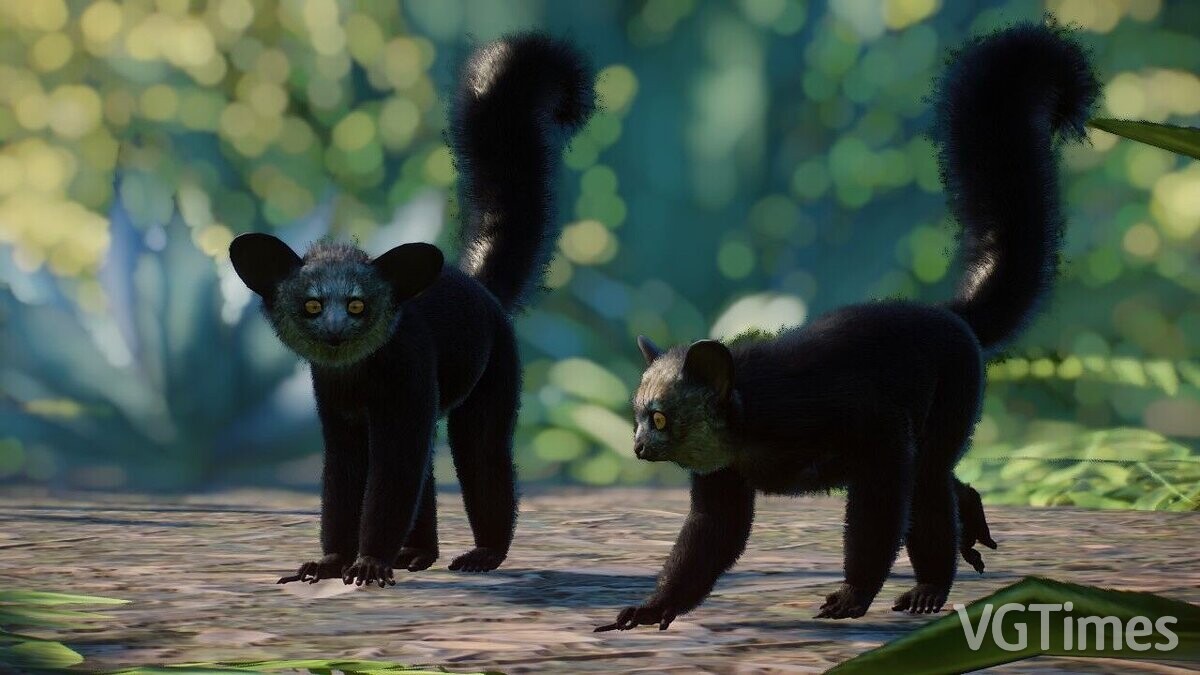 Planet Zoo — Мадагаскарская даубентония