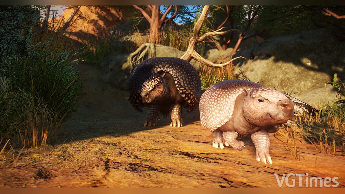 Planet Zoo — Малый глиптодон - новый вид