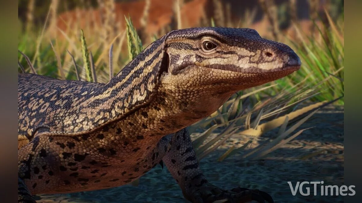 Planet Zoo — Песчаный гоанна - новые виды