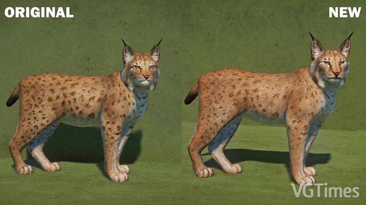 Planet Zoo — Ремастер европейской рыси