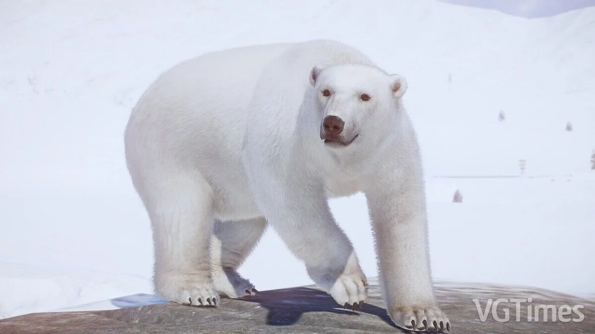 Planet Zoo — Ремастер полярного медведя
