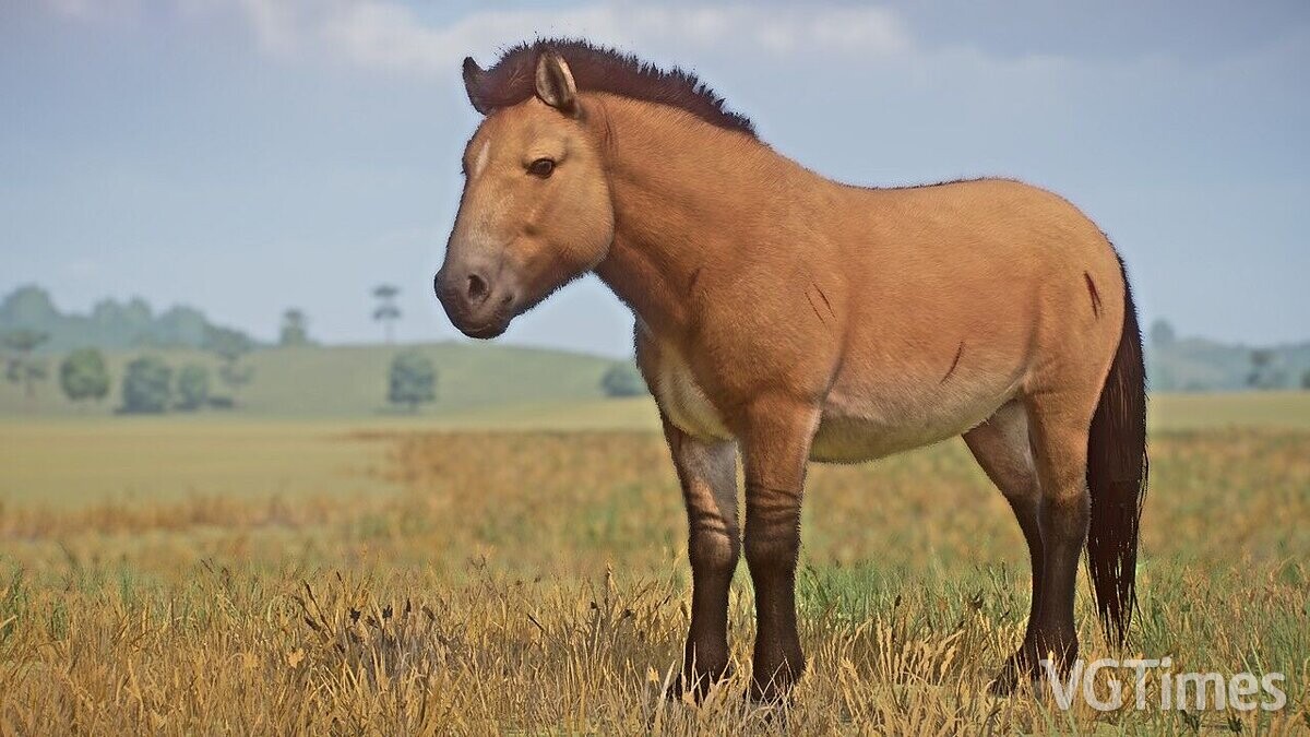 Planet Zoo — Европейская дикая лошадь - новый вид