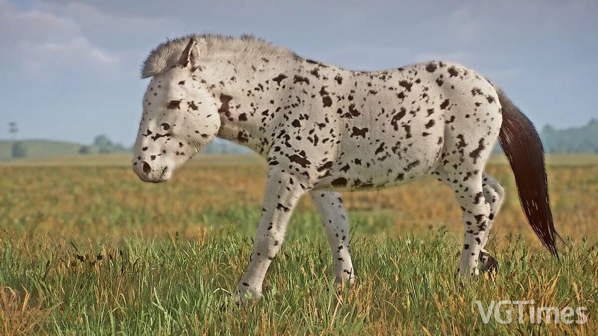 Planet Zoo — Европейская дикая лошадь - новый вид