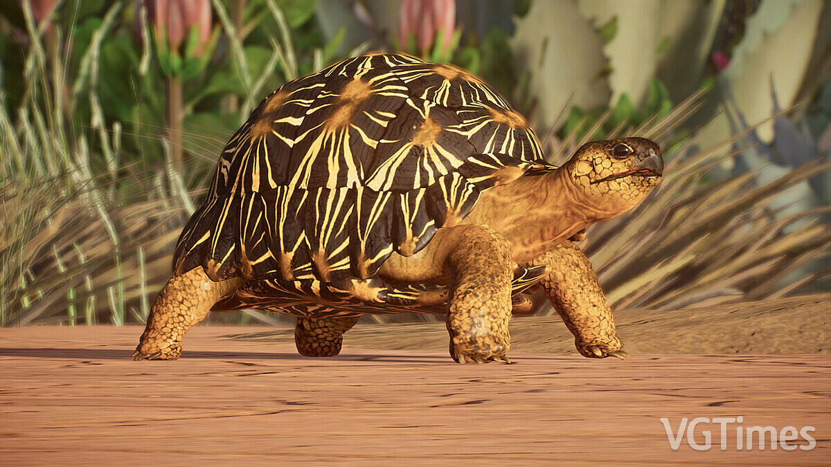 Planet Zoo — Радиационная черепаха — новые виды