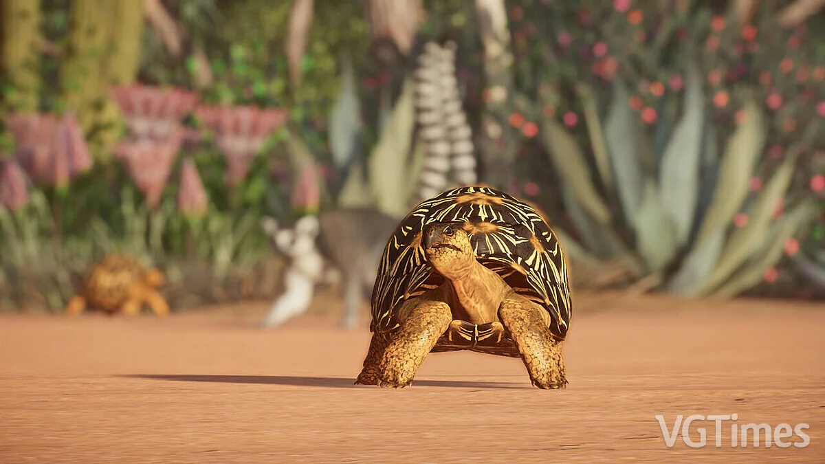 Planet Zoo — Радиационная черепаха — новые виды