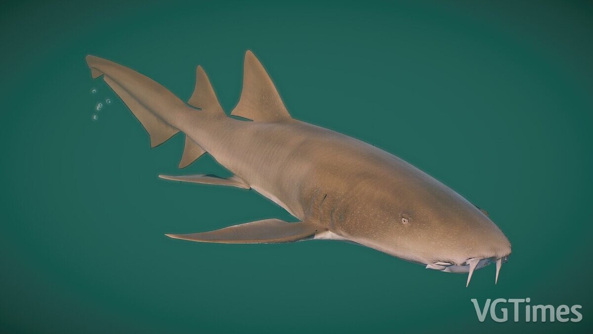 Planet Zoo — Рыжая акула-няня — новые виды