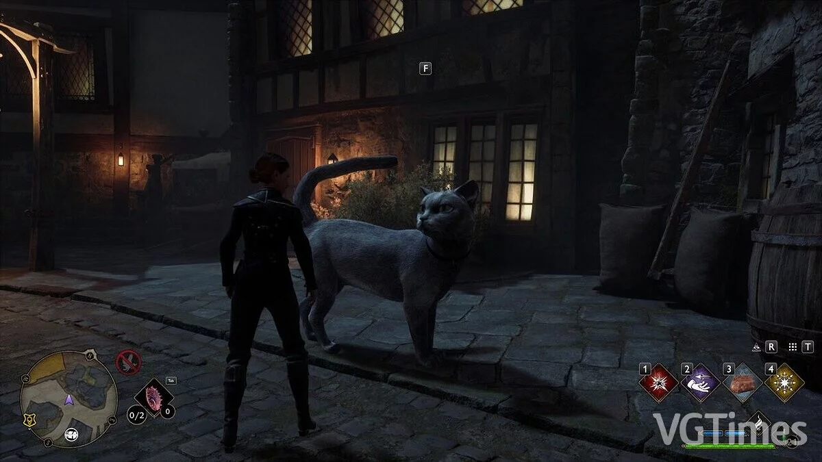 Hogwarts Legacy — Большие кошки