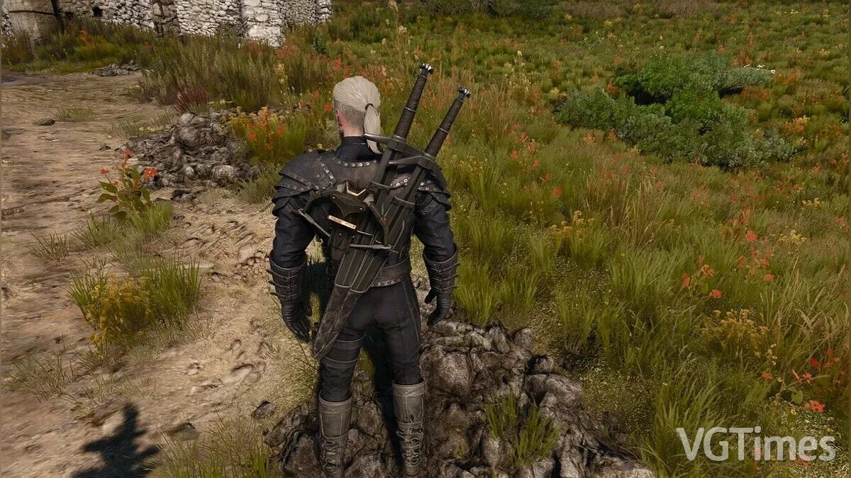 The Witcher 3: Wild Hunt - Complete Edition — Дублейдские мечи