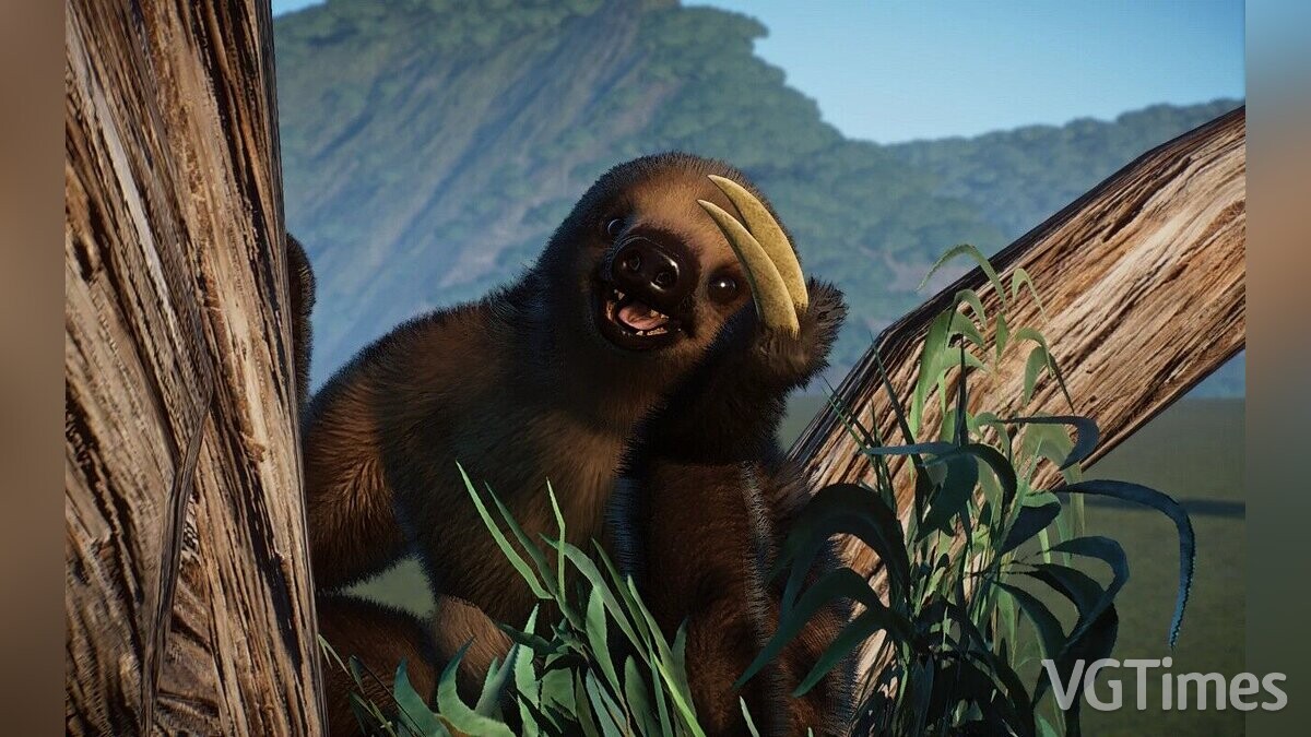 Planet Zoo — Двупалый ленивец Линнея — новый вид
