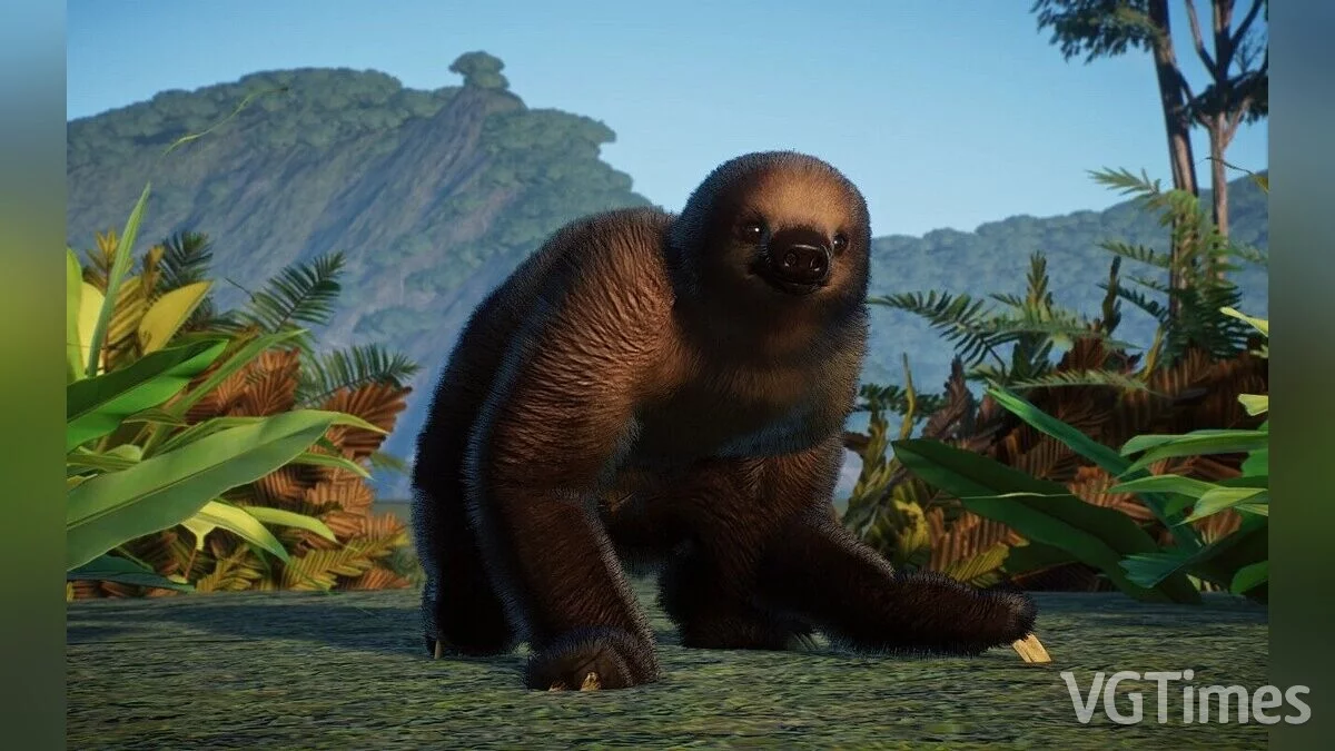 Planet Zoo — Двупалый ленивец Линнея — новый вид