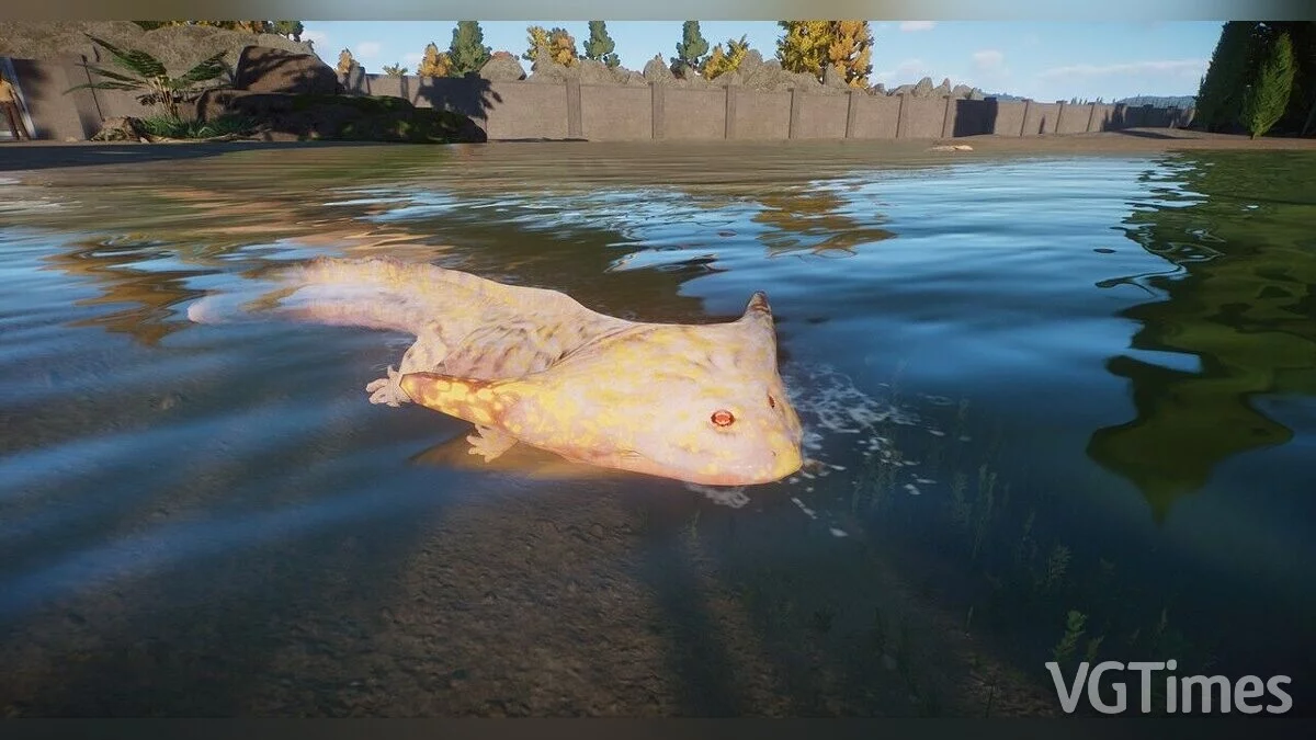 Planet Zoo — Гигантский диплокаул — новый вид