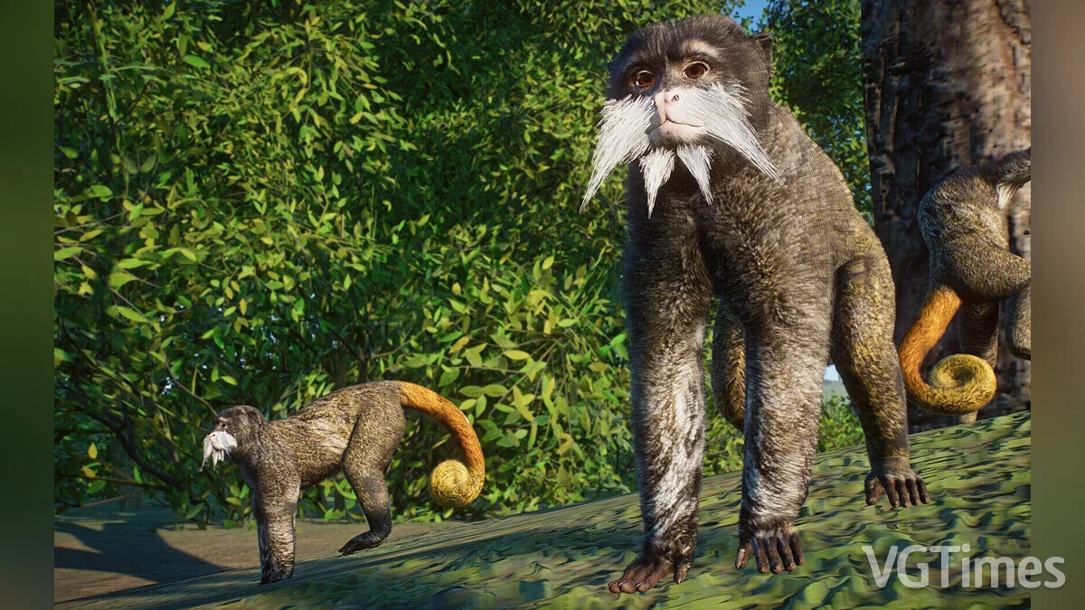 Planet Zoo — Император Тамарин - новые виды