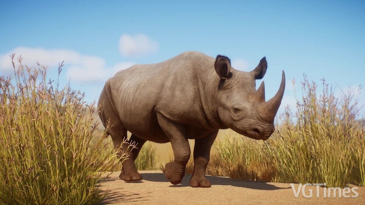 Planet Zoo — Ремастер Черного носорога