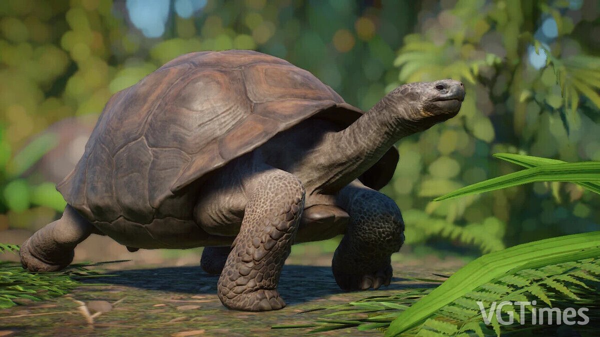 Planet Zoo — Ремастер Галапагосской черепахи