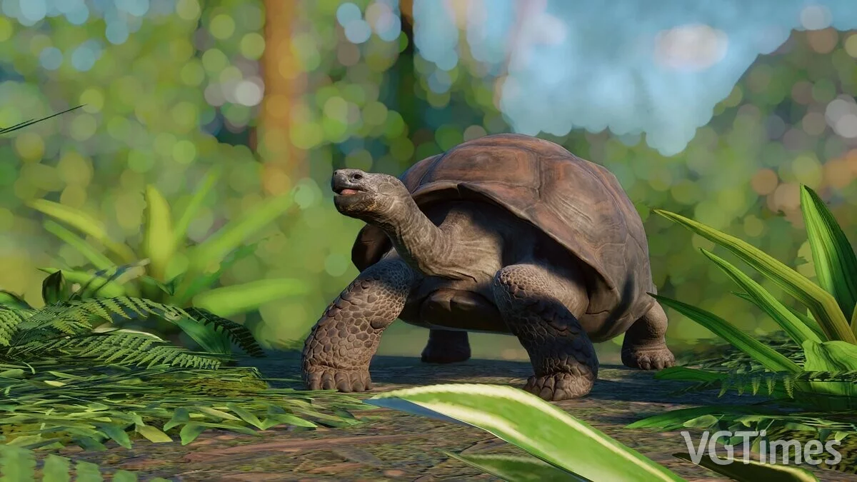 Planet Zoo — Ремастер Галапагосской черепахи