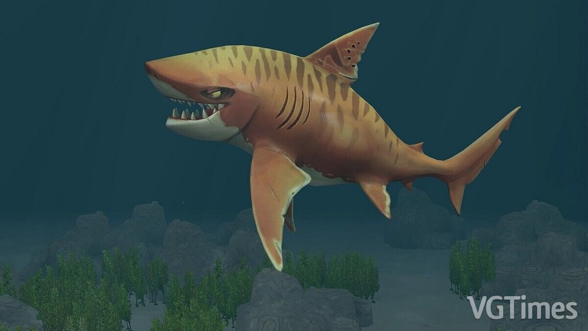 Zoo Tycoon 2 — Тигровая акула (новый вид)