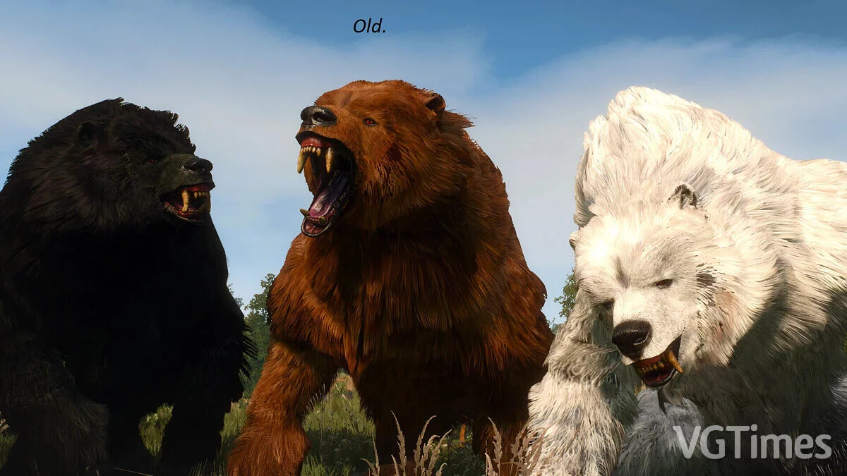 The Witcher 3: Wild Hunt - Complete Edition — Улучшенные текстуры медведей