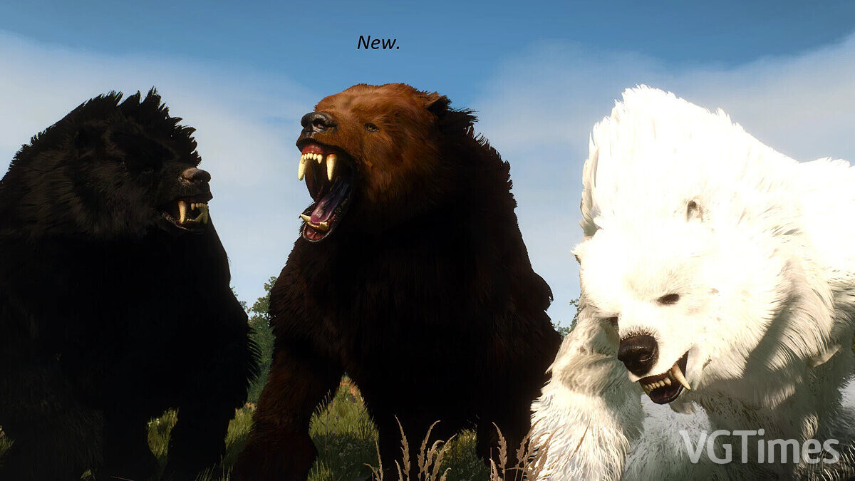 The Witcher 3: Wild Hunt - Complete Edition — Улучшенные текстуры медведей